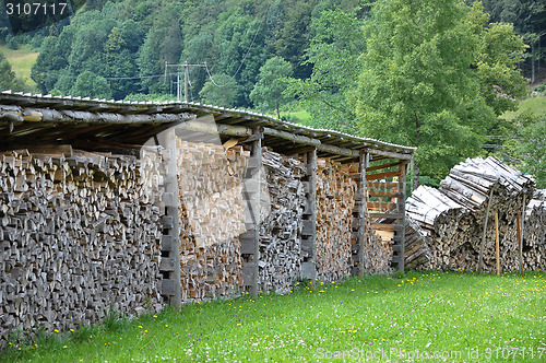 Image of Wood pile