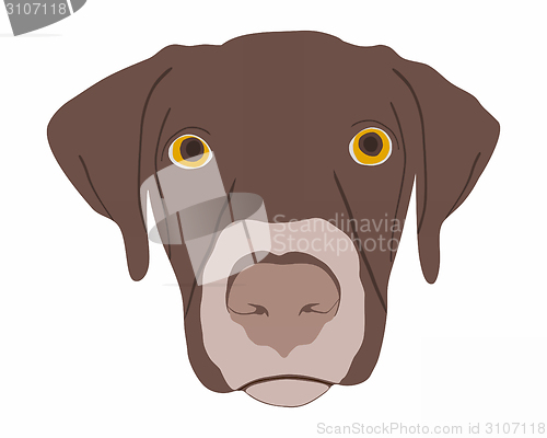 Image of Silhouette of a dogs head