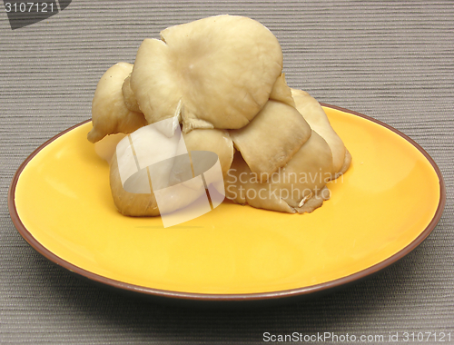 Image of Oyster mushrooms on ceramic plate on gray