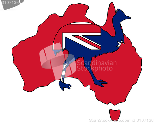 Image of Kassowary Australia