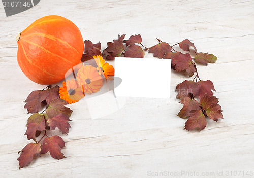 Image of Pumpkin background