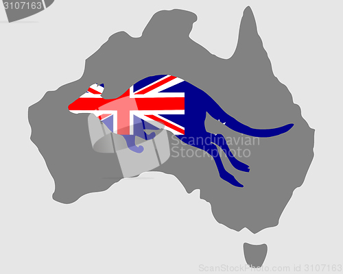 Image of Australian kangaroo