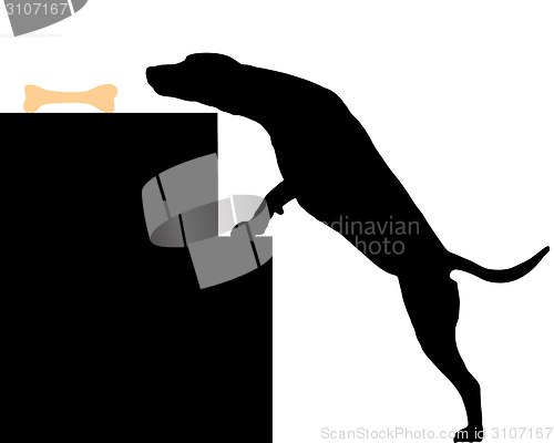 Image of Dog steals bone