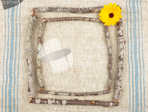 Image of Wooden frame with calendula