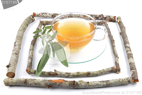 Image of Sage tea