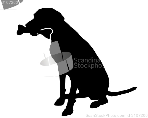 Image of Dog with bone