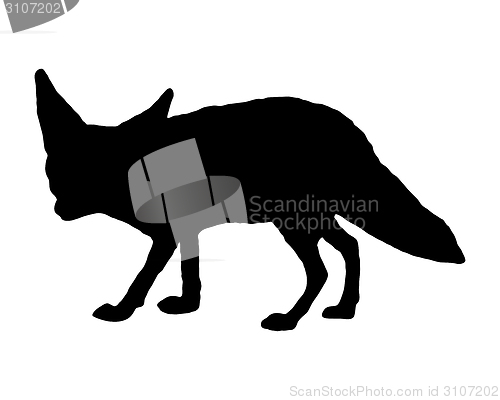 Image of Fennec fox silhouette