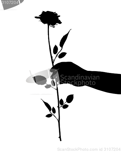 Image of Hand with rose