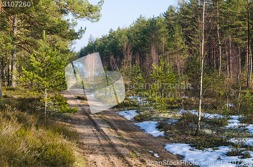 Image of Spring landscape with forest road