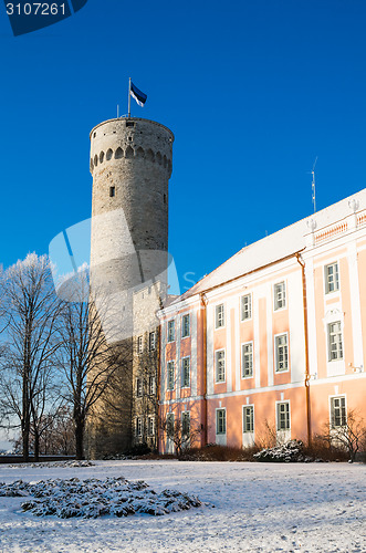 Image of View of the tower Long Herman and the parliament building in Tal