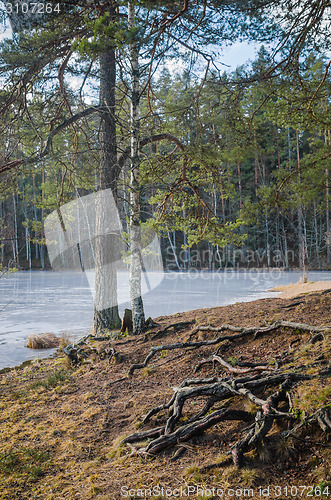 Image of Spring landscape at wood lake