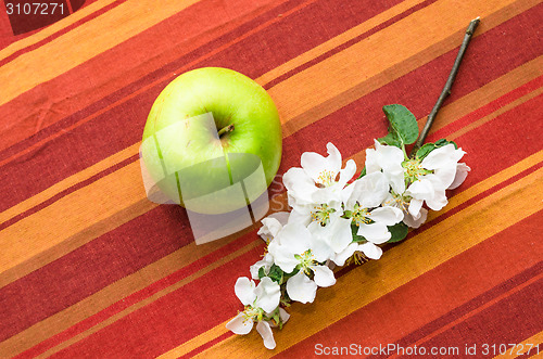 Image of Green apple with a branch of a blossoming apple-tree