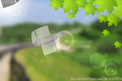 Image of Bright green summer landscape vector design