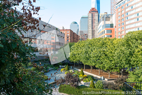 Image of Green space within the concrete jungle