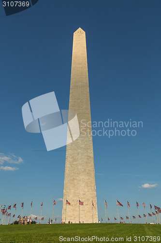 Image of Washington Monument