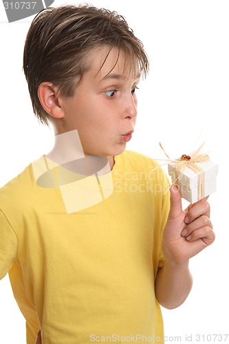 Image of Surprise PAckage