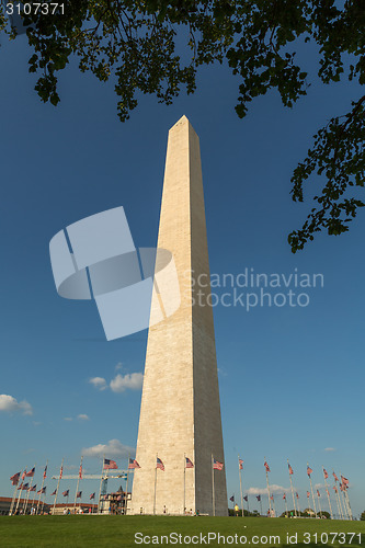 Image of Washington Monument