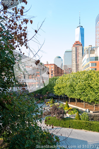 Image of Green space within the concrete jungle