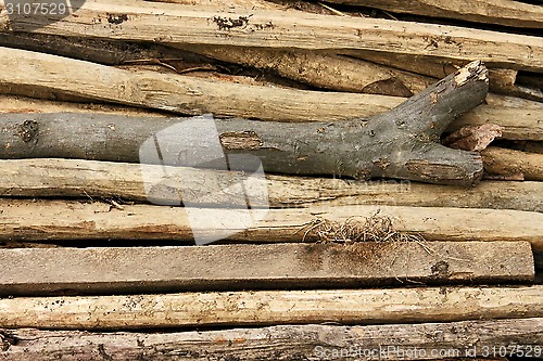 Image of Pile of thin wooden sticks