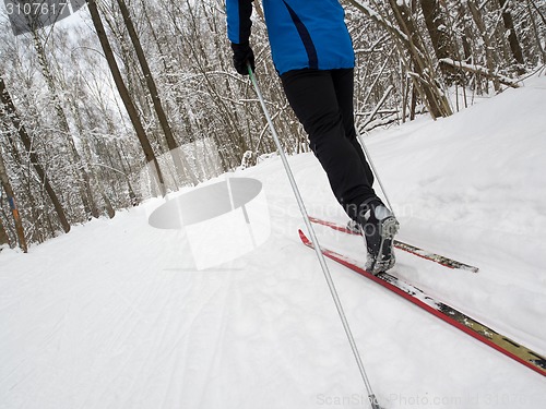 Image of Man cross-country skiing 