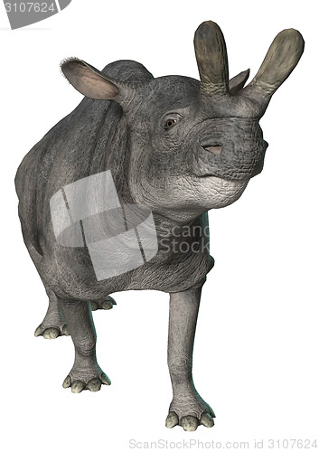 Image of Brontotherium