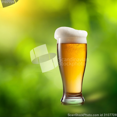 Image of Beer in glass on natural background