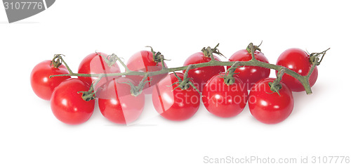 Image of Cherry tomatoes on the stem