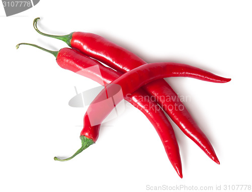 Image of Three juicy red ripe sharp intersecting chili peppers
