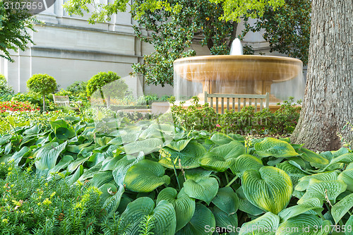 Image of Water fountain in the garden