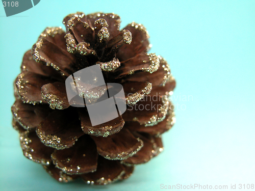 Image of pine cone