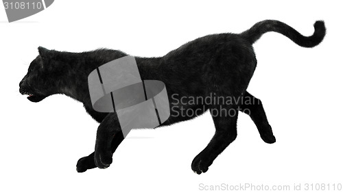 Image of Black Panther