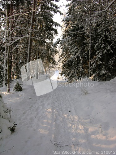 Image of Snow 2