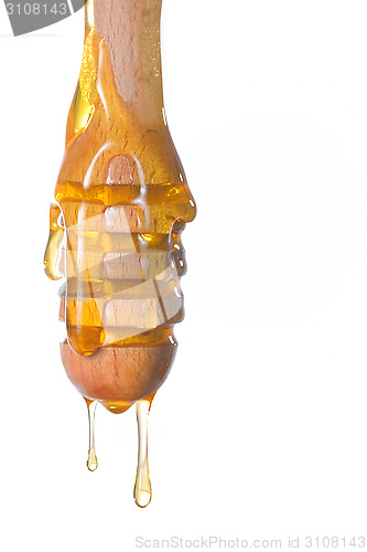 Image of Honey dripping