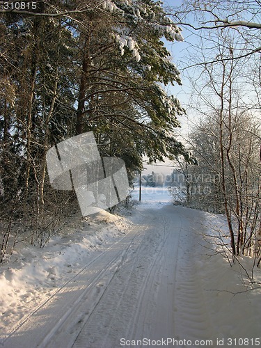 Image of Snow 5