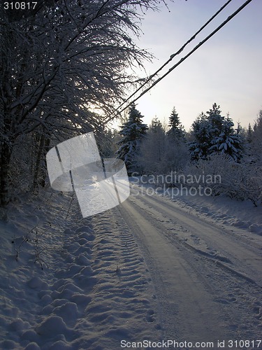 Image of Snow 11