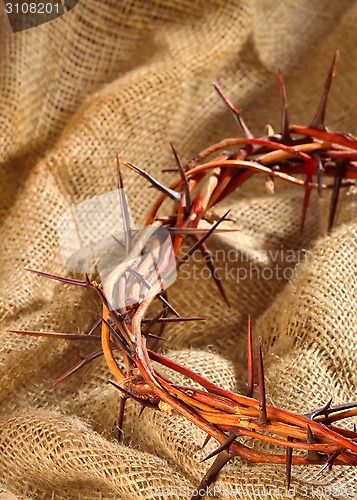 Image of crown of thorns