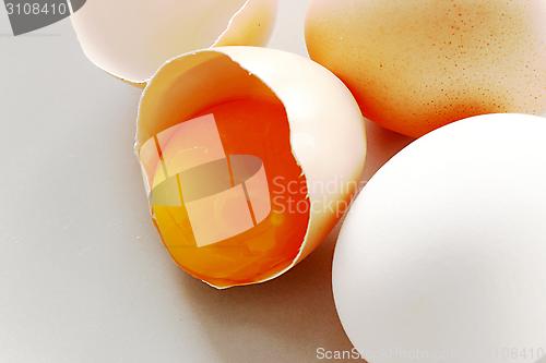 Image of eggs and yolk