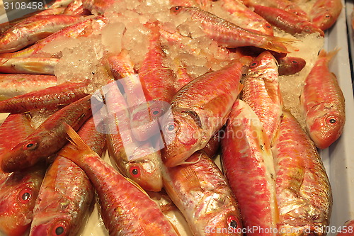 Image of Supermarket Spain