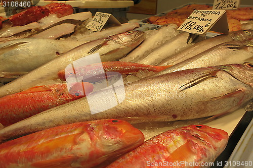 Image of Supermarket Spain