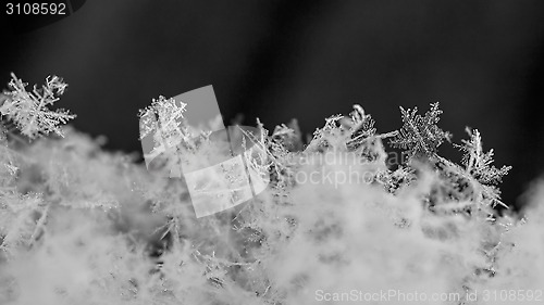 Image of Macro of snowflakes 