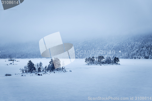 Image of Forest and lake Eibsee with snow Bavaria