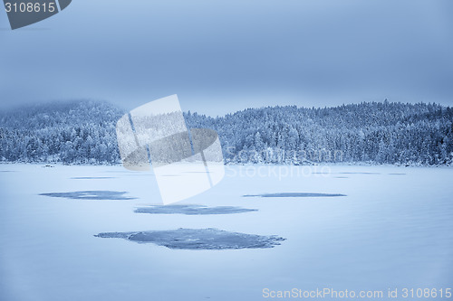 Image of Forest and lake Eibsee with snow Bavaria