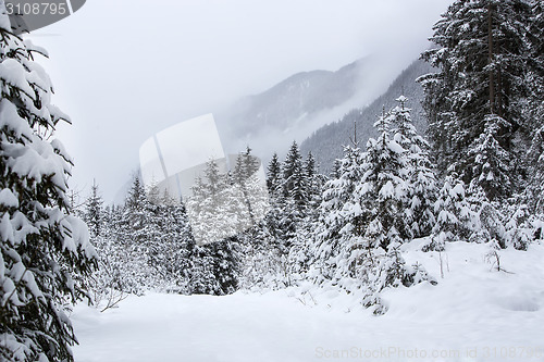 Image of Foggy mountain landscape in winter