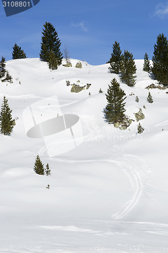 Image of Ski run between green firs in the snowy Austrian Alps