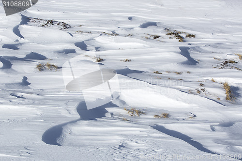 Image of Closeup of snowdrift and grass