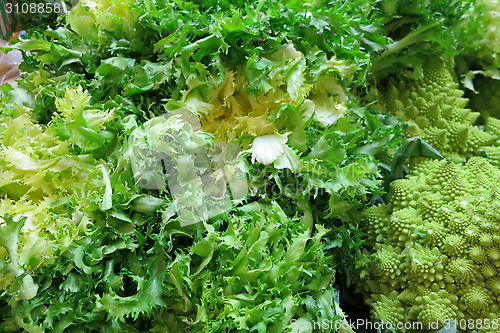 Image of Lettuce - Supermarket, Spain