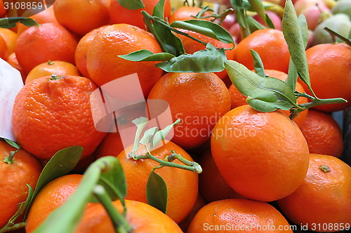 Image of Clementines - Supermarket, Spain