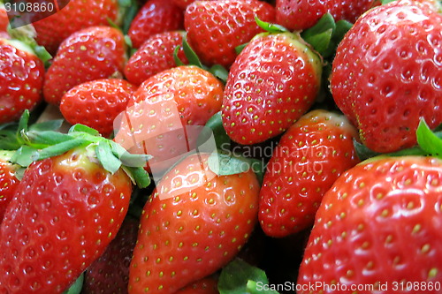 Image of Strawberries - Supermarket, Spain