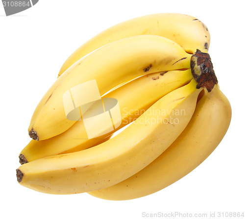 Image of Bunch of bananas