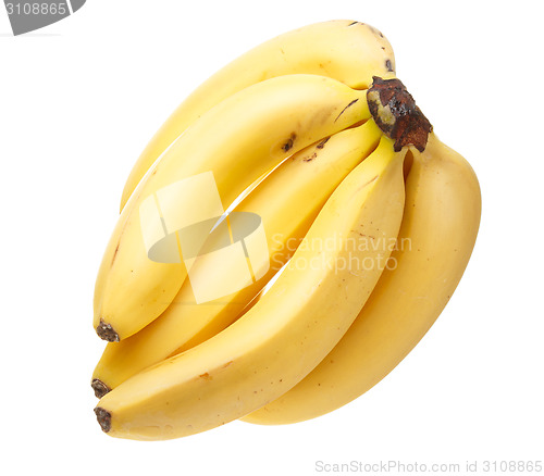 Image of Bunch of bananas